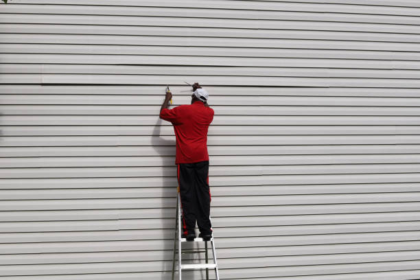 Best Steel Siding Installation  in Milan, IN