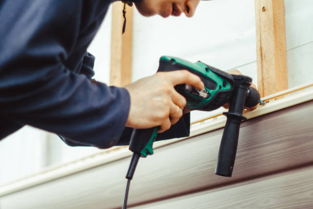 Best Vinyl Siding Installation  in Milan, IN
